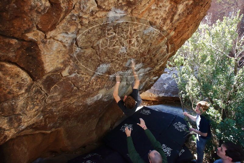 Bouldering in Hueco Tanks on 02/16/2020 with Blue Lizard Climbing and Yoga
Filename: SRM_20200216_1205540.jpg
Aperture: f/5.0
Shutter Speed: 1/250
Body: Canon EOS-1D Mark II
Lens: Canon EF 16-35mm f/2.8 L