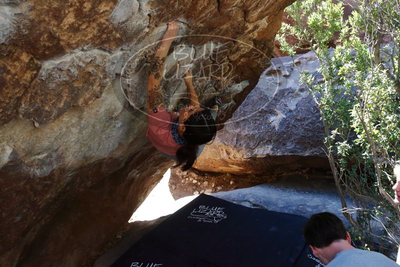 Bouldering in Hueco Tanks on 02/16/2020 with Blue Lizard Climbing and Yoga

Filename: SRM_20200216_1206430.jpg
Aperture: f/5.6
Shutter Speed: 1/250
Body: Canon EOS-1D Mark II
Lens: Canon EF 16-35mm f/2.8 L
