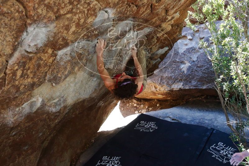 Bouldering in Hueco Tanks on 02/16/2020 with Blue Lizard Climbing and Yoga

Filename: SRM_20200216_1207480.jpg
Aperture: f/5.0
Shutter Speed: 1/250
Body: Canon EOS-1D Mark II
Lens: Canon EF 16-35mm f/2.8 L