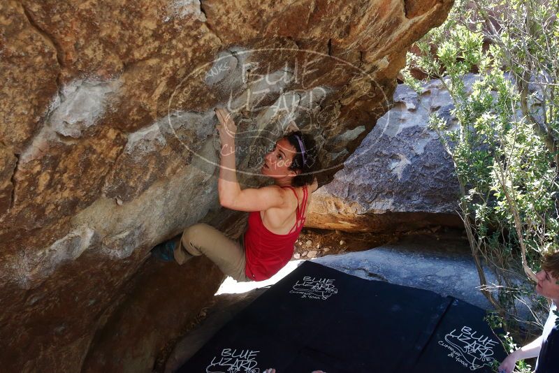 Bouldering in Hueco Tanks on 02/16/2020 with Blue Lizard Climbing and Yoga
Filename: SRM_20200216_1207550.jpg
Aperture: f/5.6
Shutter Speed: 1/250
Body: Canon EOS-1D Mark II
Lens: Canon EF 16-35mm f/2.8 L