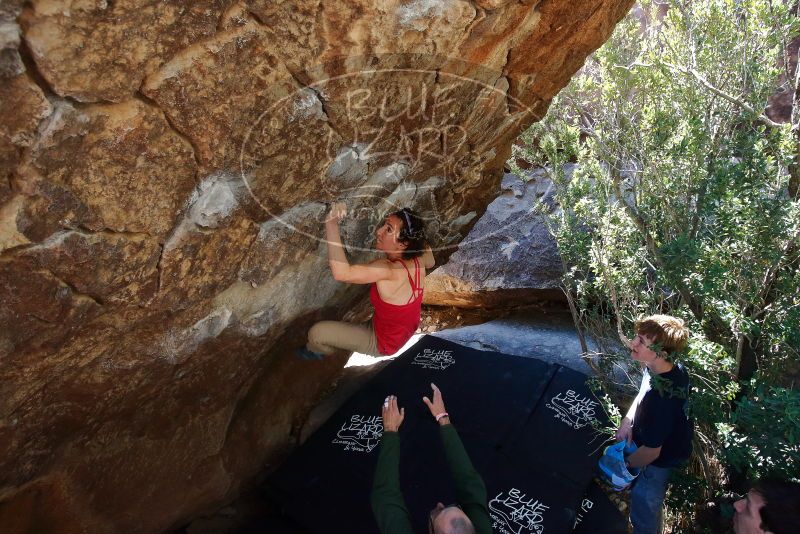 Bouldering in Hueco Tanks on 02/16/2020 with Blue Lizard Climbing and Yoga

Filename: SRM_20200216_1207560.jpg
Aperture: f/5.6
Shutter Speed: 1/250
Body: Canon EOS-1D Mark II
Lens: Canon EF 16-35mm f/2.8 L