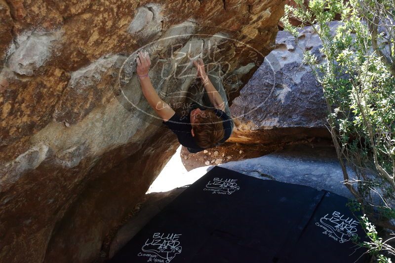 Bouldering in Hueco Tanks on 02/16/2020 with Blue Lizard Climbing and Yoga
Filename: SRM_20200216_1208270.jpg
Aperture: f/5.6
Shutter Speed: 1/320
Body: Canon EOS-1D Mark II
Lens: Canon EF 16-35mm f/2.8 L