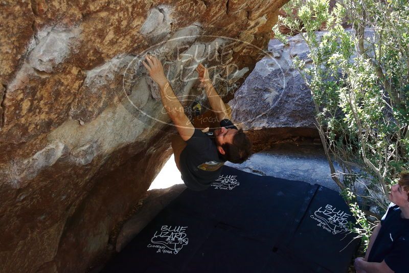 Bouldering in Hueco Tanks on 02/16/2020 with Blue Lizard Climbing and Yoga

Filename: SRM_20200216_1211130.jpg
Aperture: f/5.0
Shutter Speed: 1/320
Body: Canon EOS-1D Mark II
Lens: Canon EF 16-35mm f/2.8 L