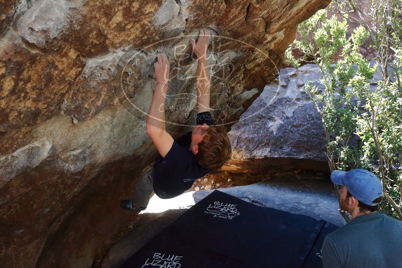 Bouldering in Hueco Tanks on 02/16/2020 with Blue Lizard Climbing and Yoga
Filename: SRM_20200216_1212080.jpg
Aperture: f/5.0
Shutter Speed: 1/320
Body: Canon EOS-1D Mark II
Lens: Canon EF 16-35mm f/2.8 L