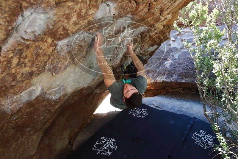 Bouldering in Hueco Tanks on 02/16/2020 with Blue Lizard Climbing and Yoga

Filename: SRM_20200216_1213490.jpg
Aperture: f/4.5
Shutter Speed: 1/320
Body: Canon EOS-1D Mark II
Lens: Canon EF 16-35mm f/2.8 L