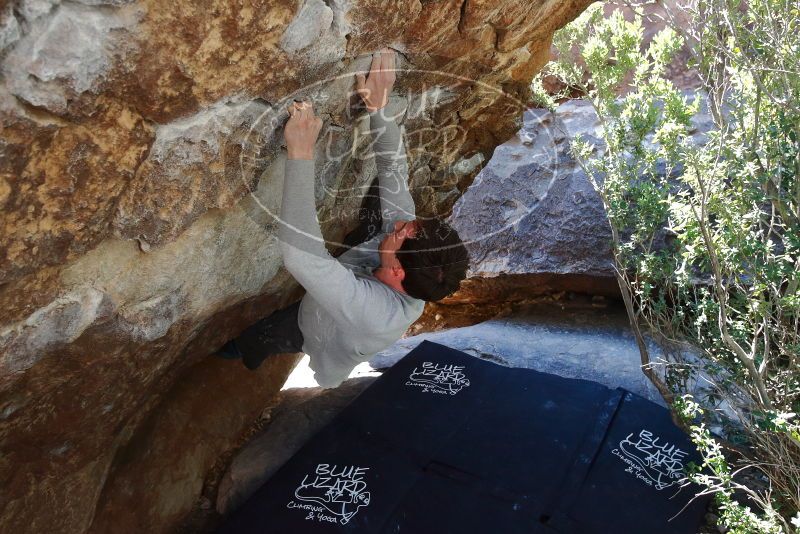 Bouldering in Hueco Tanks on 02/16/2020 with Blue Lizard Climbing and Yoga
Filename: SRM_20200216_1215140.jpg
Aperture: f/4.5
Shutter Speed: 1/320
Body: Canon EOS-1D Mark II
Lens: Canon EF 16-35mm f/2.8 L