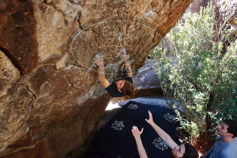 Bouldering in Hueco Tanks on 02/16/2020 with Blue Lizard Climbing and Yoga

Filename: SRM_20200216_1216021.jpg
Aperture: f/5.0
Shutter Speed: 1/320
Body: Canon EOS-1D Mark II
Lens: Canon EF 16-35mm f/2.8 L
