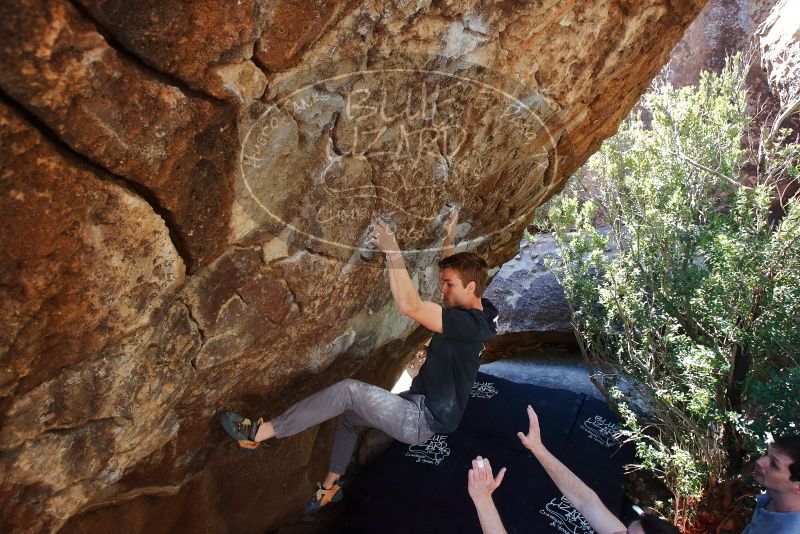 Bouldering in Hueco Tanks on 02/16/2020 with Blue Lizard Climbing and Yoga
Filename: SRM_20200216_1216060.jpg
Aperture: f/5.0
Shutter Speed: 1/320
Body: Canon EOS-1D Mark II
Lens: Canon EF 16-35mm f/2.8 L