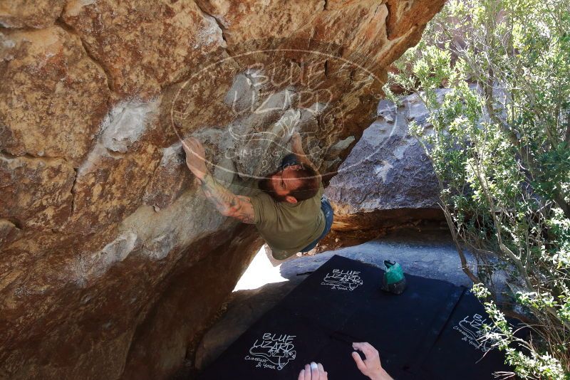 Bouldering in Hueco Tanks on 02/16/2020 with Blue Lizard Climbing and Yoga

Filename: SRM_20200216_1219311.jpg
Aperture: f/5.6
Shutter Speed: 1/250
Body: Canon EOS-1D Mark II
Lens: Canon EF 16-35mm f/2.8 L