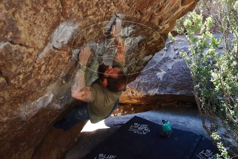 Bouldering in Hueco Tanks on 02/16/2020 with Blue Lizard Climbing and Yoga

Filename: SRM_20200216_1219340.jpg
Aperture: f/5.6
Shutter Speed: 1/250
Body: Canon EOS-1D Mark II
Lens: Canon EF 16-35mm f/2.8 L