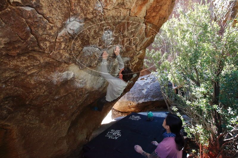 Bouldering in Hueco Tanks on 02/16/2020 with Blue Lizard Climbing and Yoga
Filename: SRM_20200216_1221540.jpg
Aperture: f/5.6
Shutter Speed: 1/250
Body: Canon EOS-1D Mark II
Lens: Canon EF 16-35mm f/2.8 L