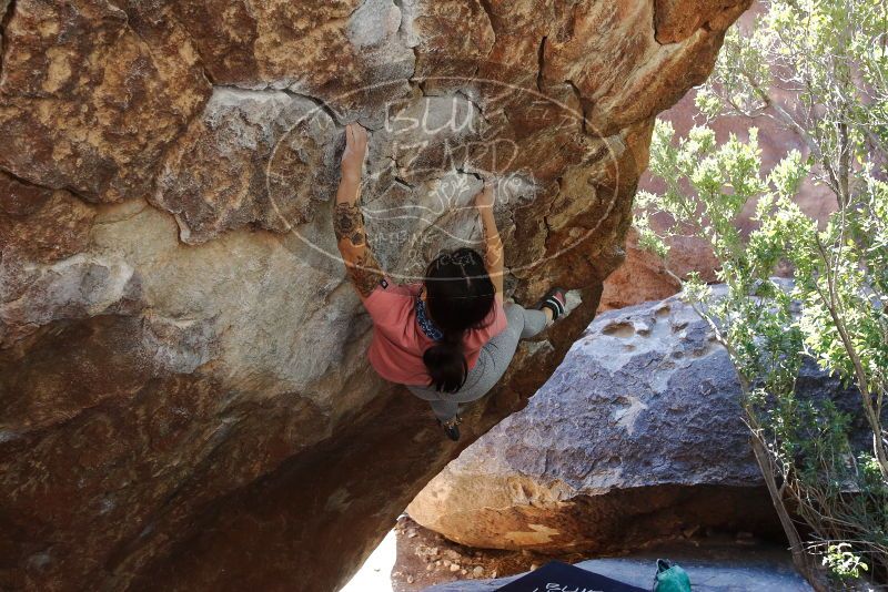 Bouldering in Hueco Tanks on 02/16/2020 with Blue Lizard Climbing and Yoga

Filename: SRM_20200216_1222291.jpg
Aperture: f/5.6
Shutter Speed: 1/250
Body: Canon EOS-1D Mark II
Lens: Canon EF 16-35mm f/2.8 L