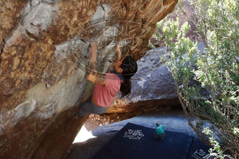 Bouldering in Hueco Tanks on 02/16/2020 with Blue Lizard Climbing and Yoga
Filename: SRM_20200216_1222330.jpg
Aperture: f/5.6
Shutter Speed: 1/250
Body: Canon EOS-1D Mark II
Lens: Canon EF 16-35mm f/2.8 L