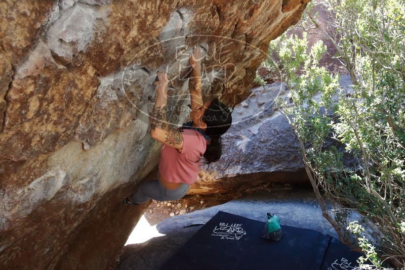 Bouldering in Hueco Tanks on 02/16/2020 with Blue Lizard Climbing and Yoga
Filename: SRM_20200216_1222331.jpg
Aperture: f/5.6
Shutter Speed: 1/250
Body: Canon EOS-1D Mark II
Lens: Canon EF 16-35mm f/2.8 L