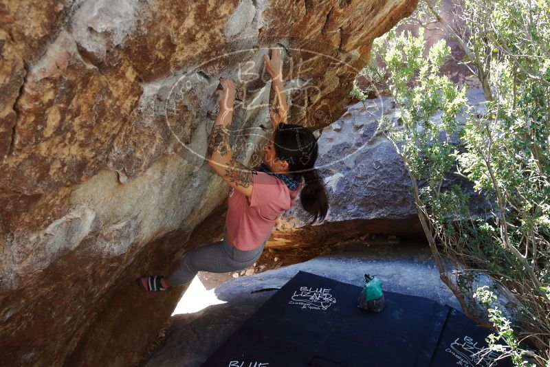 Bouldering in Hueco Tanks on 02/16/2020 with Blue Lizard Climbing and Yoga

Filename: SRM_20200216_1222340.jpg
Aperture: f/5.6
Shutter Speed: 1/250
Body: Canon EOS-1D Mark II
Lens: Canon EF 16-35mm f/2.8 L