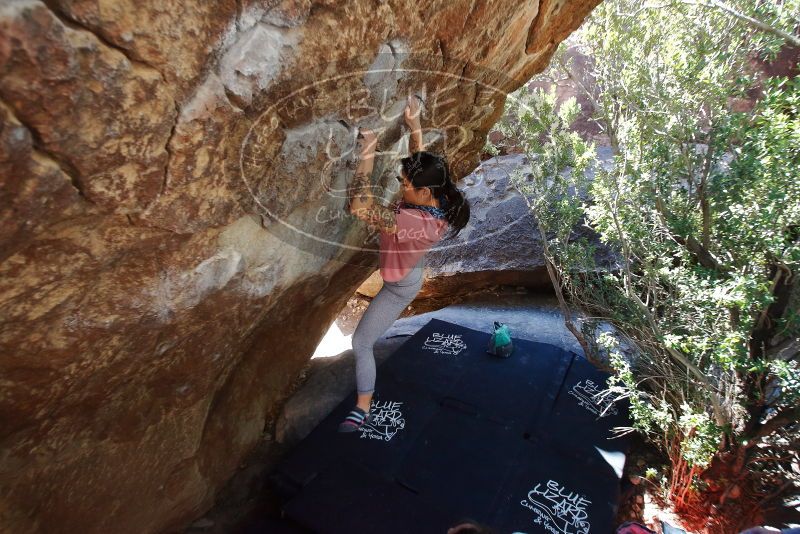 Bouldering in Hueco Tanks on 02/16/2020 with Blue Lizard Climbing and Yoga

Filename: SRM_20200216_1222341.jpg
Aperture: f/5.0
Shutter Speed: 1/250
Body: Canon EOS-1D Mark II
Lens: Canon EF 16-35mm f/2.8 L