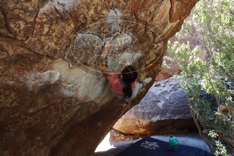 Bouldering in Hueco Tanks on 02/16/2020 with Blue Lizard Climbing and Yoga

Filename: SRM_20200216_1223190.jpg
Aperture: f/5.6
Shutter Speed: 1/250
Body: Canon EOS-1D Mark II
Lens: Canon EF 16-35mm f/2.8 L