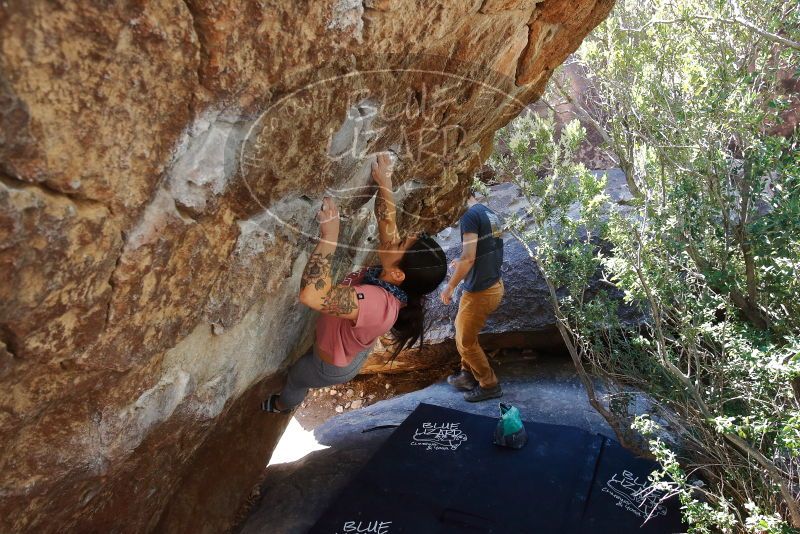 Bouldering in Hueco Tanks on 02/16/2020 with Blue Lizard Climbing and Yoga

Filename: SRM_20200216_1223230.jpg
Aperture: f/5.6
Shutter Speed: 1/250
Body: Canon EOS-1D Mark II
Lens: Canon EF 16-35mm f/2.8 L