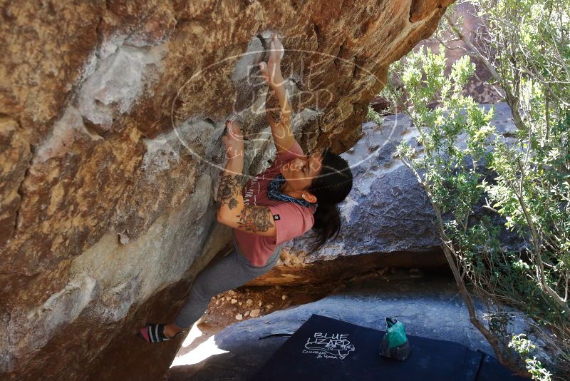Bouldering in Hueco Tanks on 02/16/2020 with Blue Lizard Climbing and Yoga
Filename: SRM_20200216_1223250.jpg
Aperture: f/5.6
Shutter Speed: 1/250
Body: Canon EOS-1D Mark II
Lens: Canon EF 16-35mm f/2.8 L