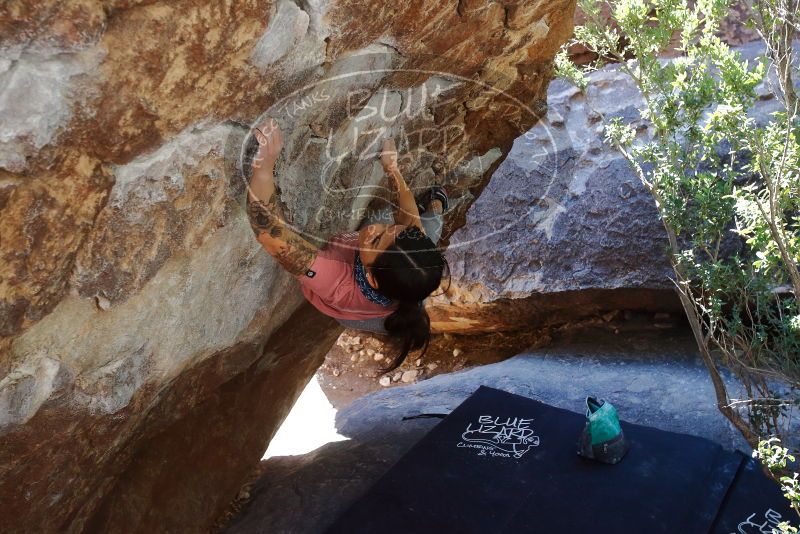 Bouldering in Hueco Tanks on 02/16/2020 with Blue Lizard Climbing and Yoga

Filename: SRM_20200216_1223580.jpg
Aperture: f/5.6
Shutter Speed: 1/250
Body: Canon EOS-1D Mark II
Lens: Canon EF 16-35mm f/2.8 L
