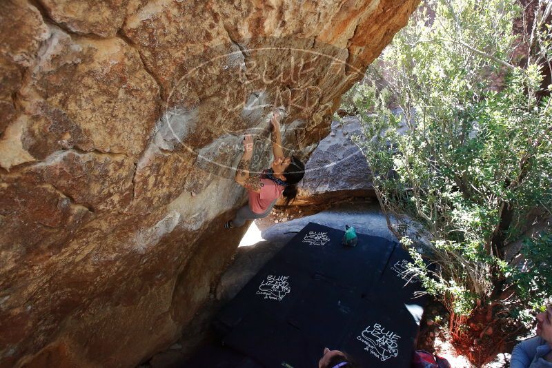 Bouldering in Hueco Tanks on 02/16/2020 with Blue Lizard Climbing and Yoga

Filename: SRM_20200216_1224020.jpg
Aperture: f/5.6
Shutter Speed: 1/250
Body: Canon EOS-1D Mark II
Lens: Canon EF 16-35mm f/2.8 L