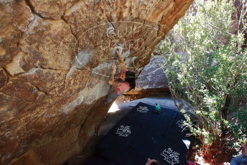 Bouldering in Hueco Tanks on 02/16/2020 with Blue Lizard Climbing and Yoga
Filename: SRM_20200216_1224021.jpg
Aperture: f/5.0
Shutter Speed: 1/250
Body: Canon EOS-1D Mark II
Lens: Canon EF 16-35mm f/2.8 L