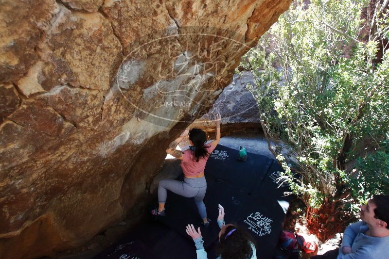 Bouldering in Hueco Tanks on 02/16/2020 with Blue Lizard Climbing and Yoga
Filename: SRM_20200216_1224040.jpg
Aperture: f/5.6
Shutter Speed: 1/250
Body: Canon EOS-1D Mark II
Lens: Canon EF 16-35mm f/2.8 L