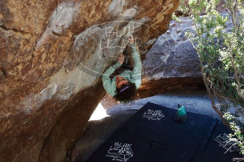 Bouldering in Hueco Tanks on 02/16/2020 with Blue Lizard Climbing and Yoga
Filename: SRM_20200216_1224460.jpg
Aperture: f/5.6
Shutter Speed: 1/250
Body: Canon EOS-1D Mark II
Lens: Canon EF 16-35mm f/2.8 L