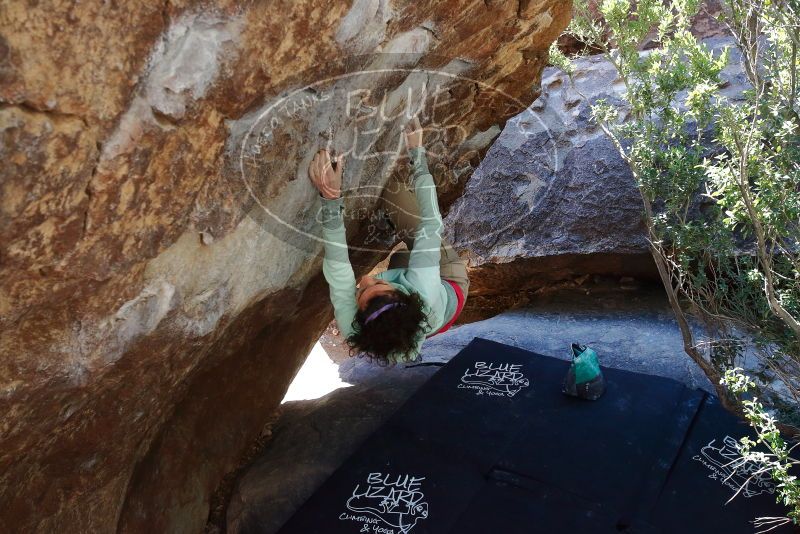 Bouldering in Hueco Tanks on 02/16/2020 with Blue Lizard Climbing and Yoga
Filename: SRM_20200216_1224470.jpg
Aperture: f/5.6
Shutter Speed: 1/250
Body: Canon EOS-1D Mark II
Lens: Canon EF 16-35mm f/2.8 L