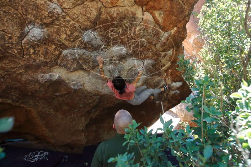Bouldering in Hueco Tanks on 02/16/2020 with Blue Lizard Climbing and Yoga

Filename: SRM_20200216_1230220.jpg
Aperture: f/5.0
Shutter Speed: 1/250
Body: Canon EOS-1D Mark II
Lens: Canon EF 16-35mm f/2.8 L