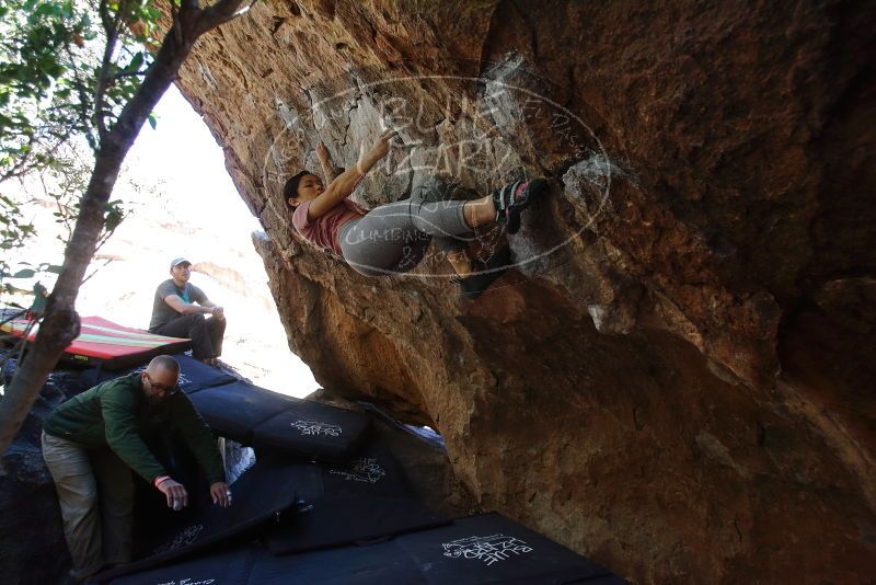 Bouldering in Hueco Tanks on 02/16/2020 with Blue Lizard Climbing and Yoga

Filename: SRM_20200216_1236060.jpg
Aperture: f/4.5
Shutter Speed: 1/250
Body: Canon EOS-1D Mark II
Lens: Canon EF 16-35mm f/2.8 L