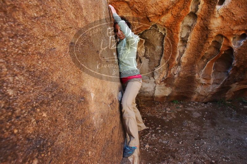 Bouldering in Hueco Tanks on 02/16/2020 with Blue Lizard Climbing and Yoga

Filename: SRM_20200216_1241370.jpg
Aperture: f/5.6
Shutter Speed: 1/250
Body: Canon EOS-1D Mark II
Lens: Canon EF 16-35mm f/2.8 L