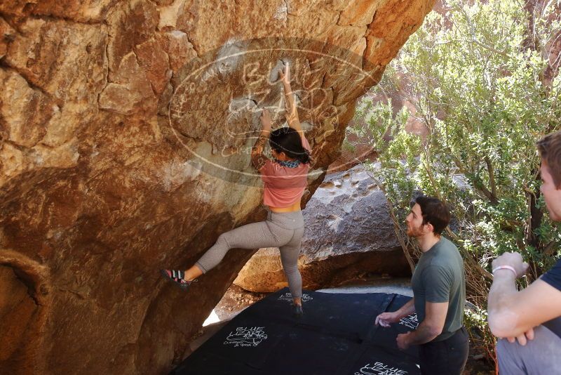 Bouldering in Hueco Tanks on 02/16/2020 with Blue Lizard Climbing and Yoga

Filename: SRM_20200216_1244180.jpg
Aperture: f/4.5
Shutter Speed: 1/250
Body: Canon EOS-1D Mark II
Lens: Canon EF 16-35mm f/2.8 L