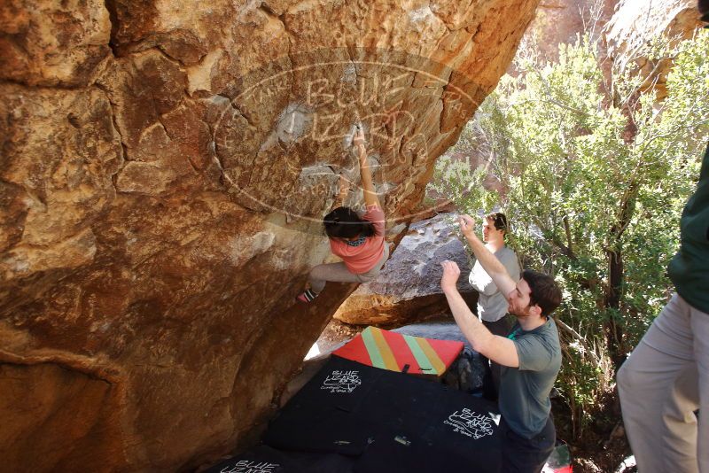 Bouldering in Hueco Tanks on 02/16/2020 with Blue Lizard Climbing and Yoga

Filename: SRM_20200216_1253311.jpg
Aperture: f/4.5
Shutter Speed: 1/250
Body: Canon EOS-1D Mark II
Lens: Canon EF 16-35mm f/2.8 L