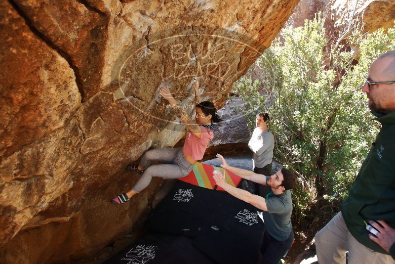 Bouldering in Hueco Tanks on 02/16/2020 with Blue Lizard Climbing and Yoga

Filename: SRM_20200216_1253370.jpg
Aperture: f/5.0
Shutter Speed: 1/250
Body: Canon EOS-1D Mark II
Lens: Canon EF 16-35mm f/2.8 L