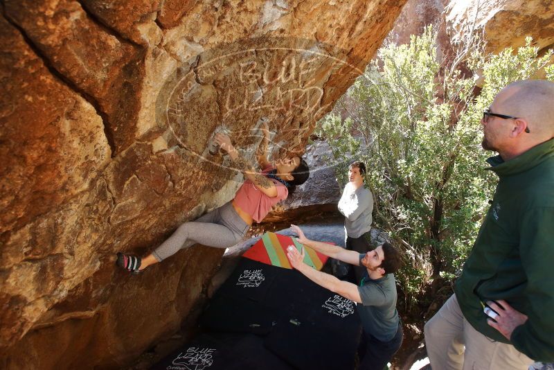 Bouldering in Hueco Tanks on 02/16/2020 with Blue Lizard Climbing and Yoga

Filename: SRM_20200216_1253380.jpg
Aperture: f/5.0
Shutter Speed: 1/250
Body: Canon EOS-1D Mark II
Lens: Canon EF 16-35mm f/2.8 L