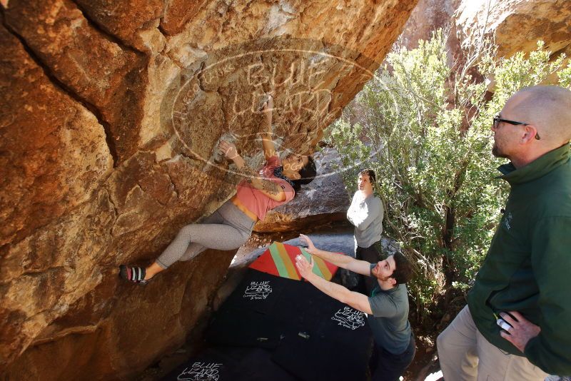 Bouldering in Hueco Tanks on 02/16/2020 with Blue Lizard Climbing and Yoga

Filename: SRM_20200216_1253381.jpg
Aperture: f/5.0
Shutter Speed: 1/250
Body: Canon EOS-1D Mark II
Lens: Canon EF 16-35mm f/2.8 L