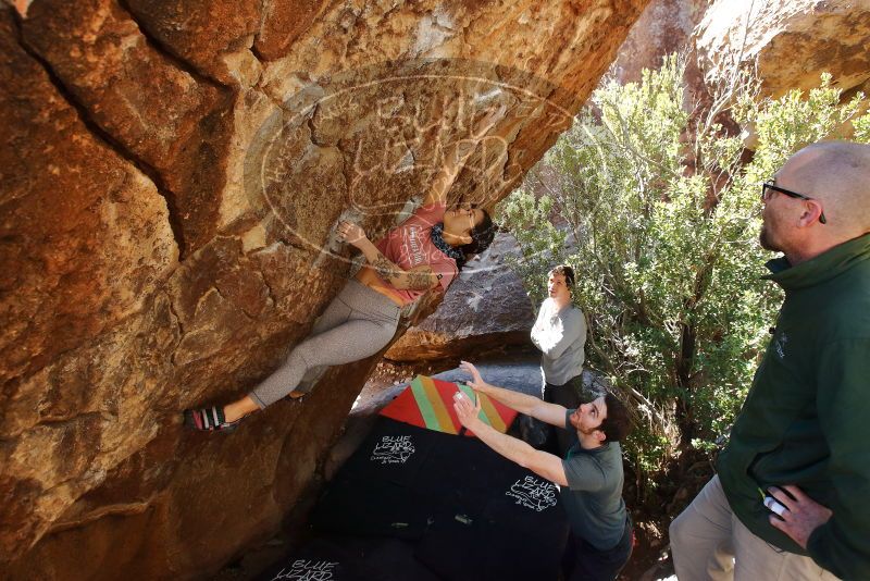 Bouldering in Hueco Tanks on 02/16/2020 with Blue Lizard Climbing and Yoga

Filename: SRM_20200216_1253390.jpg
Aperture: f/5.0
Shutter Speed: 1/250
Body: Canon EOS-1D Mark II
Lens: Canon EF 16-35mm f/2.8 L