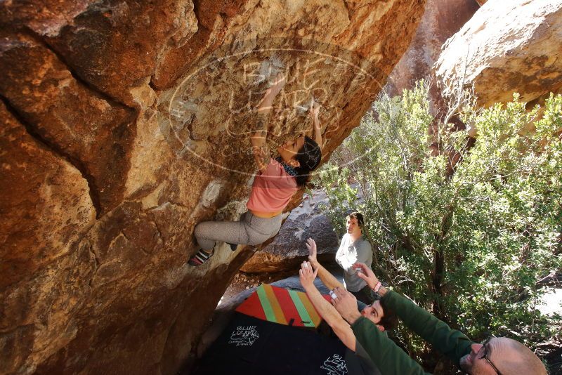 Bouldering in Hueco Tanks on 02/16/2020 with Blue Lizard Climbing and Yoga

Filename: SRM_20200216_1253432.jpg
Aperture: f/5.6
Shutter Speed: 1/250
Body: Canon EOS-1D Mark II
Lens: Canon EF 16-35mm f/2.8 L