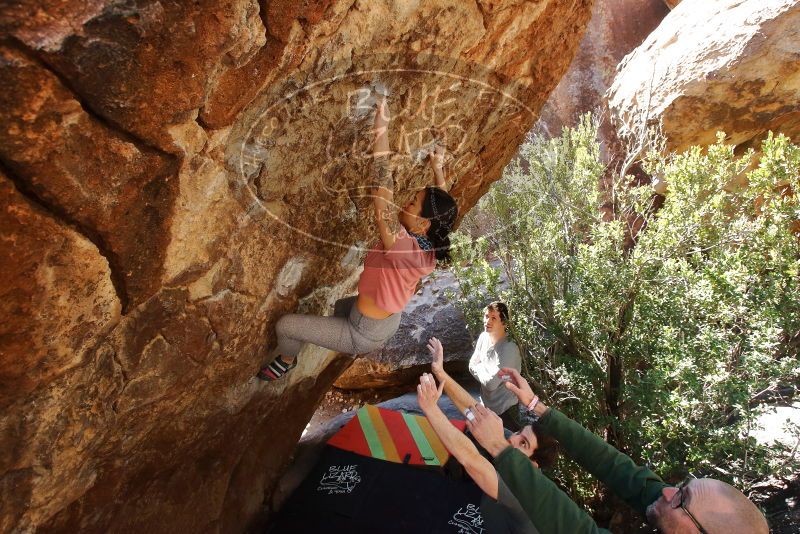 Bouldering in Hueco Tanks on 02/16/2020 with Blue Lizard Climbing and Yoga

Filename: SRM_20200216_1253440.jpg
Aperture: f/5.6
Shutter Speed: 1/250
Body: Canon EOS-1D Mark II
Lens: Canon EF 16-35mm f/2.8 L