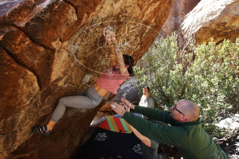 Bouldering in Hueco Tanks on 02/16/2020 with Blue Lizard Climbing and Yoga

Filename: SRM_20200216_1253510.jpg
Aperture: f/5.6
Shutter Speed: 1/250
Body: Canon EOS-1D Mark II
Lens: Canon EF 16-35mm f/2.8 L