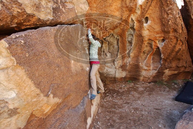 Bouldering in Hueco Tanks on 02/16/2020 with Blue Lizard Climbing and Yoga

Filename: SRM_20200216_1256180.jpg
Aperture: f/5.0
Shutter Speed: 1/250
Body: Canon EOS-1D Mark II
Lens: Canon EF 16-35mm f/2.8 L