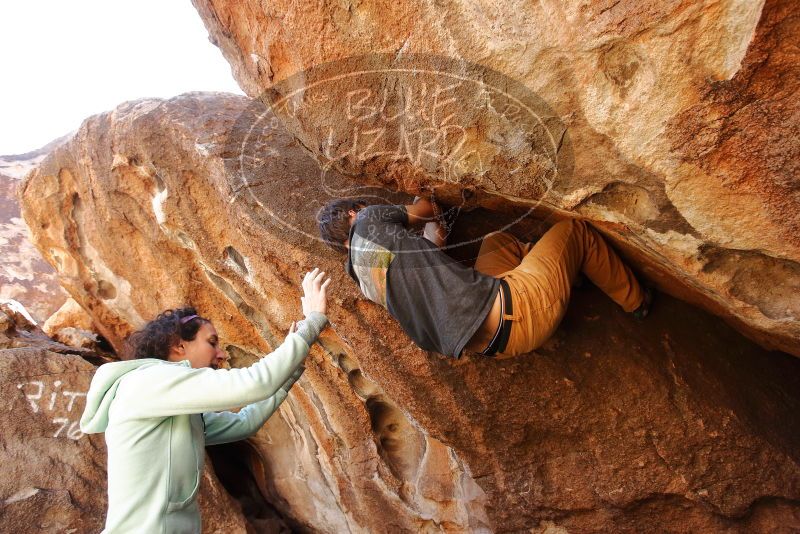Bouldering in Hueco Tanks on 02/16/2020 with Blue Lizard Climbing and Yoga

Filename: SRM_20200216_1258330.jpg
Aperture: f/4.5
Shutter Speed: 1/250
Body: Canon EOS-1D Mark II
Lens: Canon EF 16-35mm f/2.8 L