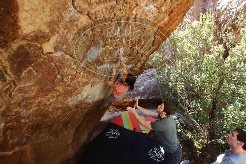 Bouldering in Hueco Tanks on 02/16/2020 with Blue Lizard Climbing and Yoga
Filename: SRM_20200216_1304200.jpg
Aperture: f/5.0
Shutter Speed: 1/250
Body: Canon EOS-1D Mark II
Lens: Canon EF 16-35mm f/2.8 L