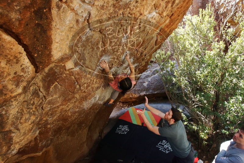 Bouldering in Hueco Tanks on 02/16/2020 with Blue Lizard Climbing and Yoga

Filename: SRM_20200216_1304230.jpg
Aperture: f/5.0
Shutter Speed: 1/250
Body: Canon EOS-1D Mark II
Lens: Canon EF 16-35mm f/2.8 L
