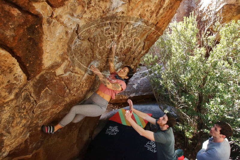 Bouldering in Hueco Tanks on 02/16/2020 with Blue Lizard Climbing and Yoga

Filename: SRM_20200216_1304280.jpg
Aperture: f/5.6
Shutter Speed: 1/250
Body: Canon EOS-1D Mark II
Lens: Canon EF 16-35mm f/2.8 L