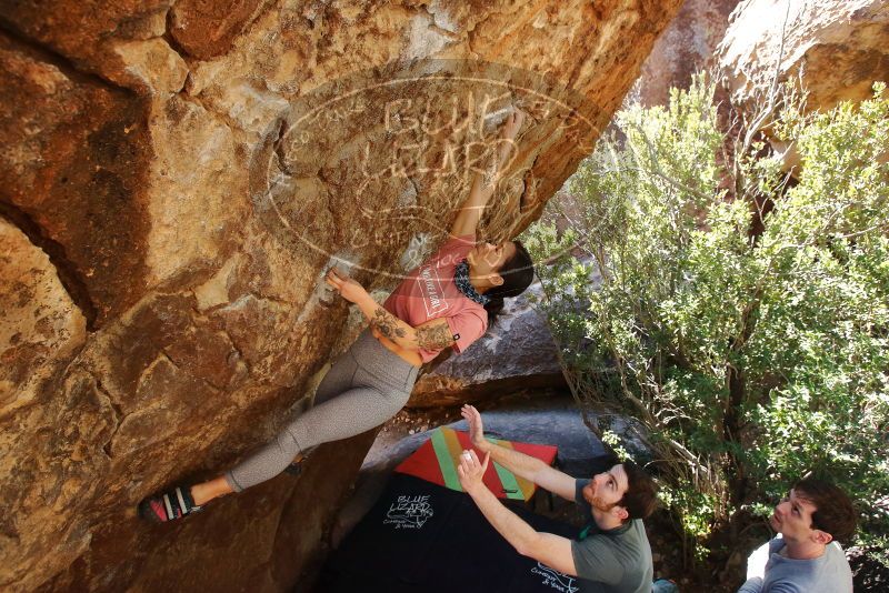 Bouldering in Hueco Tanks on 02/16/2020 with Blue Lizard Climbing and Yoga

Filename: SRM_20200216_1304310.jpg
Aperture: f/5.6
Shutter Speed: 1/250
Body: Canon EOS-1D Mark II
Lens: Canon EF 16-35mm f/2.8 L