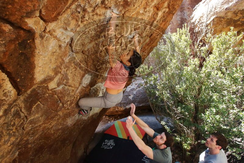 Bouldering in Hueco Tanks on 02/16/2020 with Blue Lizard Climbing and Yoga

Filename: SRM_20200216_1304370.jpg
Aperture: f/5.6
Shutter Speed: 1/250
Body: Canon EOS-1D Mark II
Lens: Canon EF 16-35mm f/2.8 L