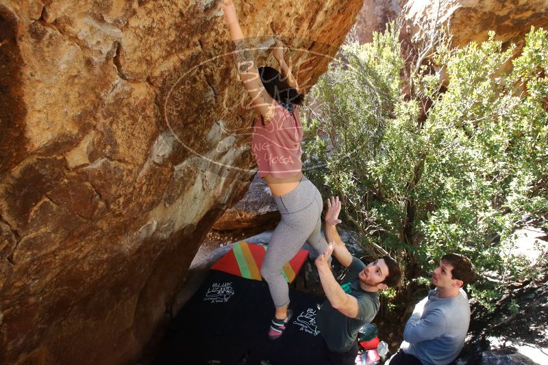 Bouldering in Hueco Tanks on 02/16/2020 with Blue Lizard Climbing and Yoga
Filename: SRM_20200216_1304380.jpg
Aperture: f/5.6
Shutter Speed: 1/250
Body: Canon EOS-1D Mark II
Lens: Canon EF 16-35mm f/2.8 L