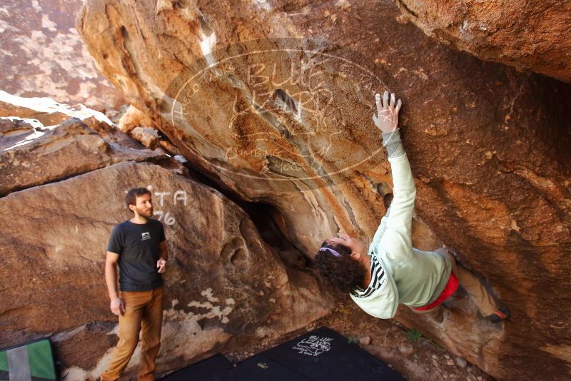 Bouldering in Hueco Tanks on 02/16/2020 with Blue Lizard Climbing and Yoga
Filename: SRM_20200216_1318190.jpg
Aperture: f/5.0
Shutter Speed: 1/250
Body: Canon EOS-1D Mark II
Lens: Canon EF 16-35mm f/2.8 L
